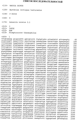 Структурирующие молочнокислые бактерии (патент 2376367)