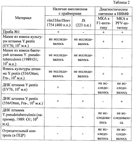 Способ идентификации штаммов вида yersinia pestis и yersinia pseudotuberculosis (патент 2422535)