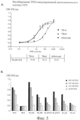 Стабильные и растворимые антитела, ингибирующие tnf  (патент 2415151)