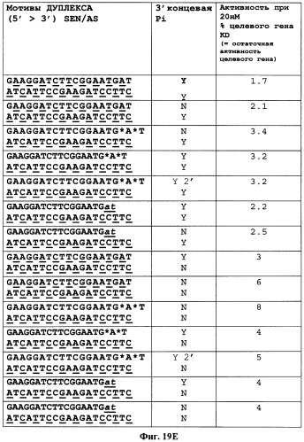 Новые структуры малых интерферирующих рнк (sirna) (патент 2487716)