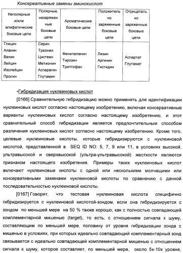 Генетически кодируемые флюоресцентные кумариновые аминокислоты (патент 2473690)