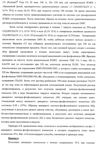 Конъюгаты фосфолипидов и направляющих векторных молекул (патент 2433137)