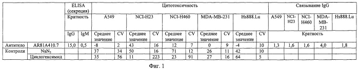 Антитела, модифицирующие раковые заболевания (патент 2468036)