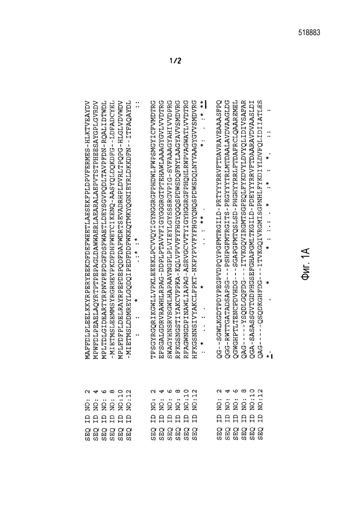 Ферменты, пригодные для получения перкислот (патент 2644333)