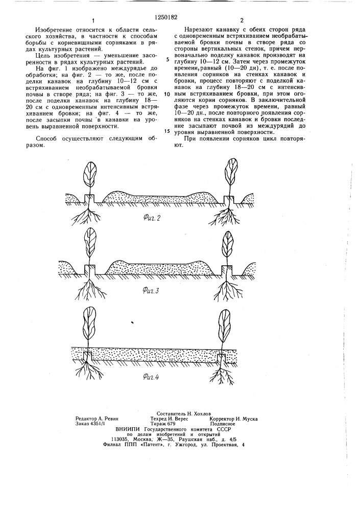Способ борьбы с корневищными сорняками в рядах культурных растений (патент 1250182)