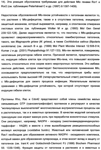 Новые последовательности нуклеиновых кислот и их применение в способах достижения устойчивости к патогенам в растениях (патент 2346985)