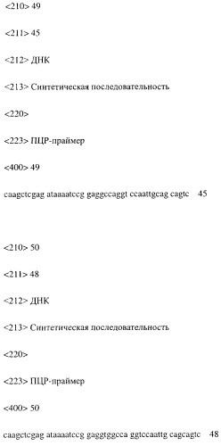 Модифицированное агонистическое антитело (патент 2295537)