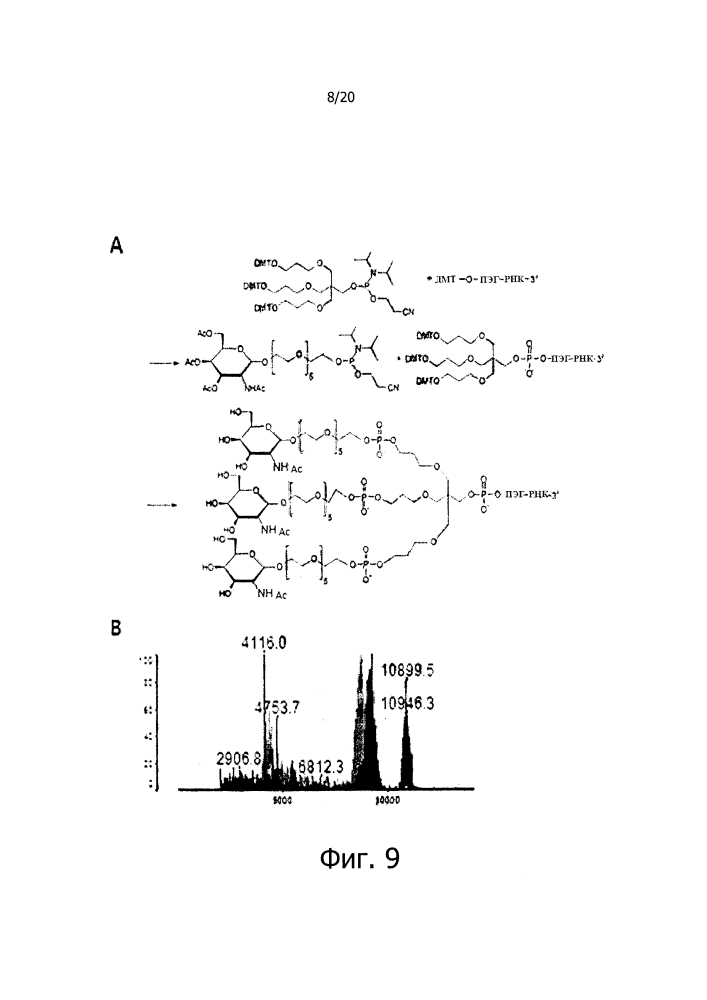 Новые конъюгаты олигонуклеотидов и их применение (патент 2599449)