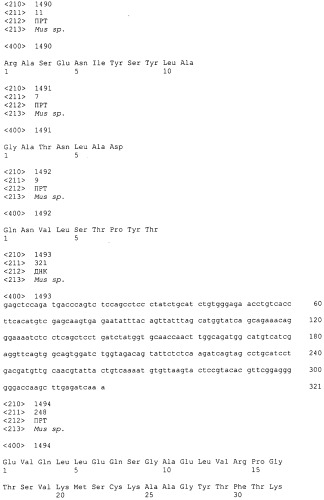 Pscaxcd3, cd19xcd3, c-metxcd3, эндосиалинxcd3, epcamxcd3, igf-1rxcd3 или fap-альфаxcd3 биспецифическое одноцепочечное антитело с межвидовой специфичностью (патент 2547600)