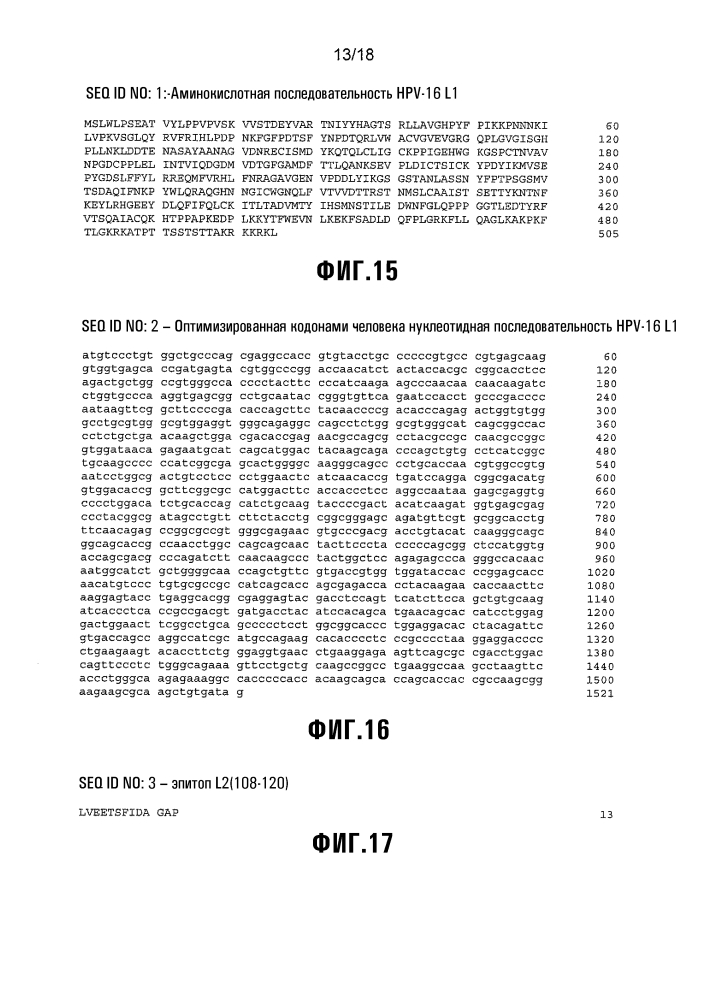Химерная частица hpv (патент 2642287)