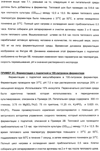 Фармацевтический препарат и способ лечения злокачественных опухолей у человека с помощью аргининовой депривации (патент 2335539)