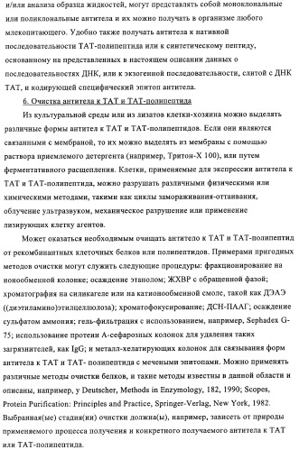 Композиции и способы диагностики и лечения опухоли (патент 2430112)