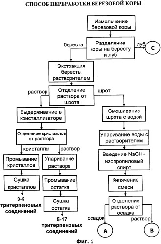 Способ переработки березовой коры (патент 2305550)