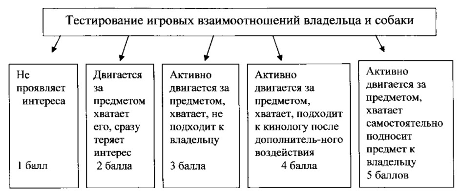 Способ определения рабочих качеств служебных собак (патент 2621382)