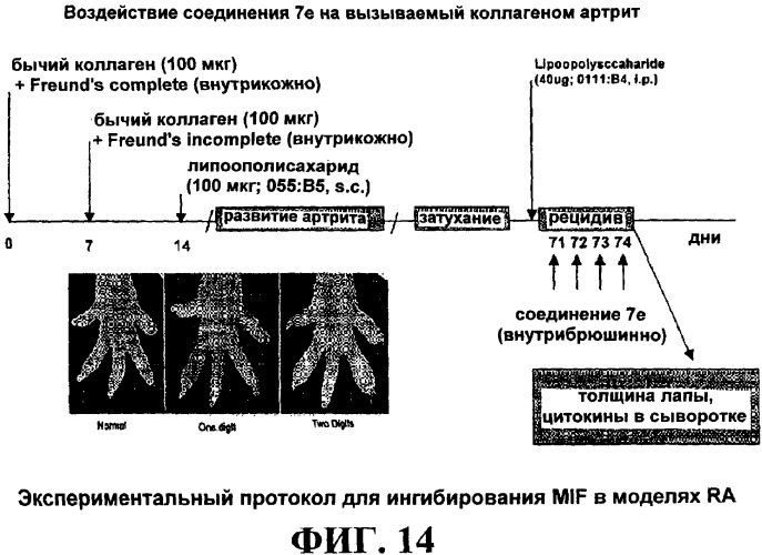 Ингибиторы фактора ингибирования миграции макрофага и способы для их идентификации (патент 2327695)