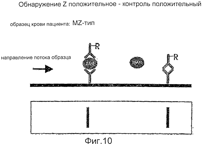 Устройства, способы и наборы для иммунохроматографии (патент 2568875)