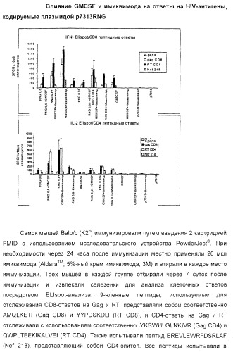 Способ усиления иммунного ответа млекопитающего на антиген (патент 2370537)