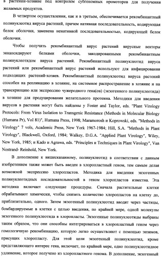 Изолированные полипептиды, кодирующие их полинуклеотиды, экспрессирующие их трансгенные растения и способы их использования (патент 2487166)