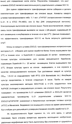 Продуцирование il-21 в прокариотических клетках-хозяевах (патент 2354703)