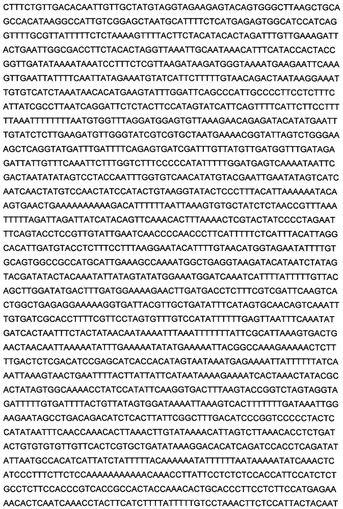 Изопропилмалат синтаза из nicotiana tabacum и способы и ее применение (патент 2644238)