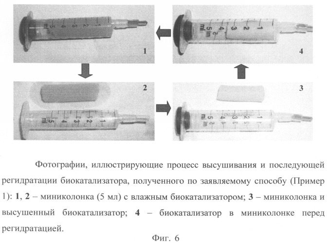 Способ получения биокатализатора и биокатализатор для детоксикации фосфорорганических нейротоксичных соединений в проточных системах (патент 2315103)