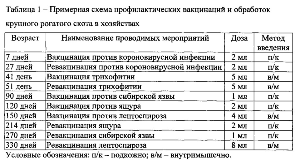 Способ производства говядины при реконструкции половозрастной структуры стада на молочной ферме (патент 2645248)