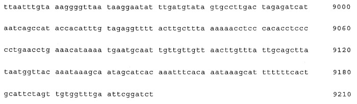 Вектор экспрессии млекопитающих (патент 2494147)