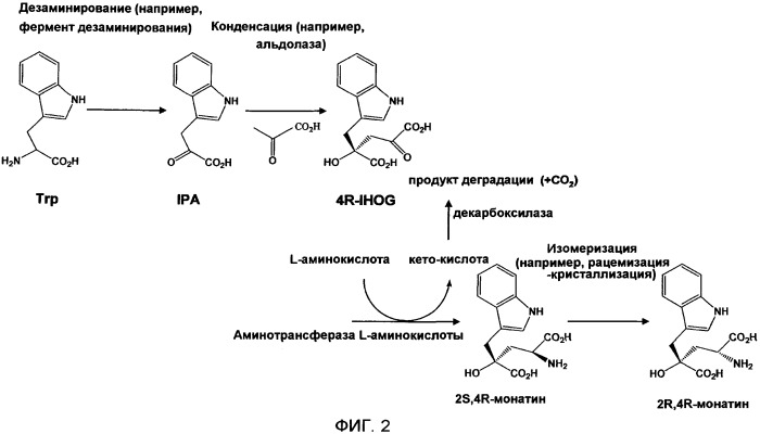 Способ получения монатина (патент 2505606)