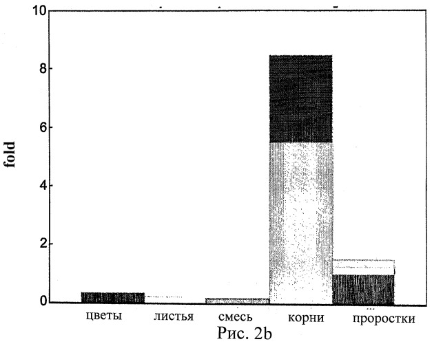 Изолированные полипептиды, кодирующие их полинуклеотиды, экспрессирующие их трансгенные растения и способы их использования (патент 2487166)