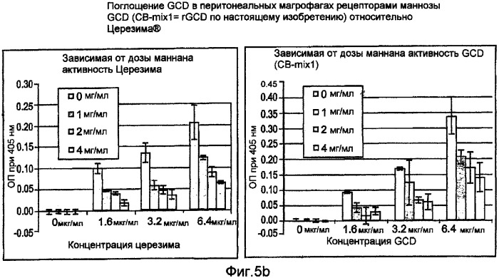 Продуцирование высокоманнозных белков в растительных культурах (патент 2385928)