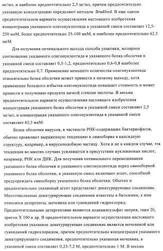 Способы упаковки олигонуклеотидов в вирусоподобные частицы рнк-содержащих бактериофагов (патент 2476595)