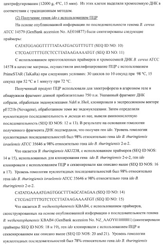 Способ продукции 4-гидрокси-l-изолейцина (патент 2402608)