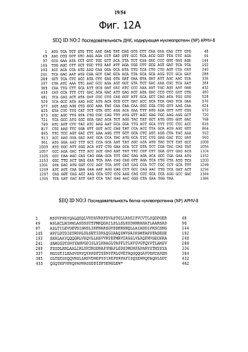 Способ получения рекомбинантного вирусного вектора apmv-8 (патент 2592544)