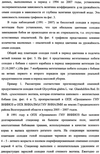 Способ прогнозирования семенной продуктивности солодки голой и солодки уральской сухостепного, лиманного и пойменного экотипов (патент 2360403)