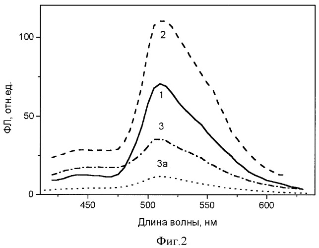 Способ получения композиционных оптических хемосенсорных пленок (патент 2399584)