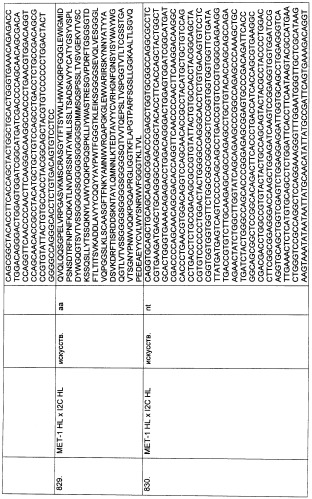 Pscaxcd3, cd19xcd3, c-metxcd3, эндосиалинxcd3, epcamxcd3, igf-1rxcd3 или fap-альфаxcd3 биспецифическое одноцепочечное антитело с межвидовой специфичностью (патент 2547600)