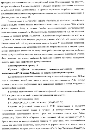 Способ получения фактора, связанного с контролем над потреблением пищи и/или массой тела, полипептид, обладающий активностью подавления потребления пищи и/или прибавления в весе, молекула нуклеиновой кислоты, кодирующая полипептид, способы и применение полипептида (патент 2418002)