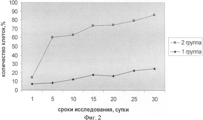 Способ стимулирования эритропоэза у крупного рогатого скота (патент 2390346)