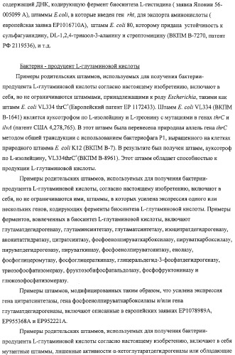 Способ получения l-аминокислот с использованием бактерии, принадлежащей к роду escherichia, в которой разрушен путь биосинтеза гликогена (патент 2315809)