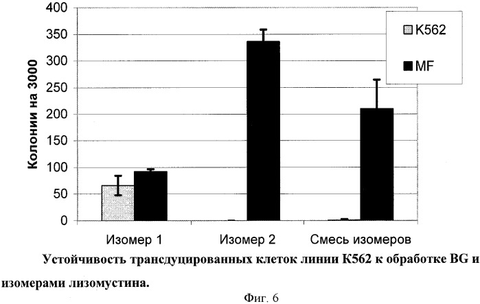 Способ селекции клеток in vivo с помощью лизомустина (патент 2425149)