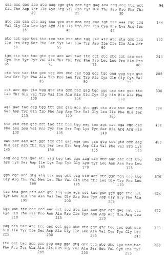 Fad-2-мутанты и растения с высоким содержанием олеиновой кислоты (патент 2461624)