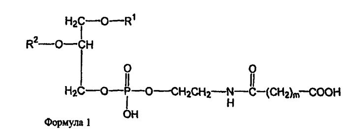 Новые композиции липосом (патент 2454229)
