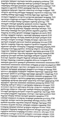 Модуляция экспрессии гентингтина (патент 2562861)