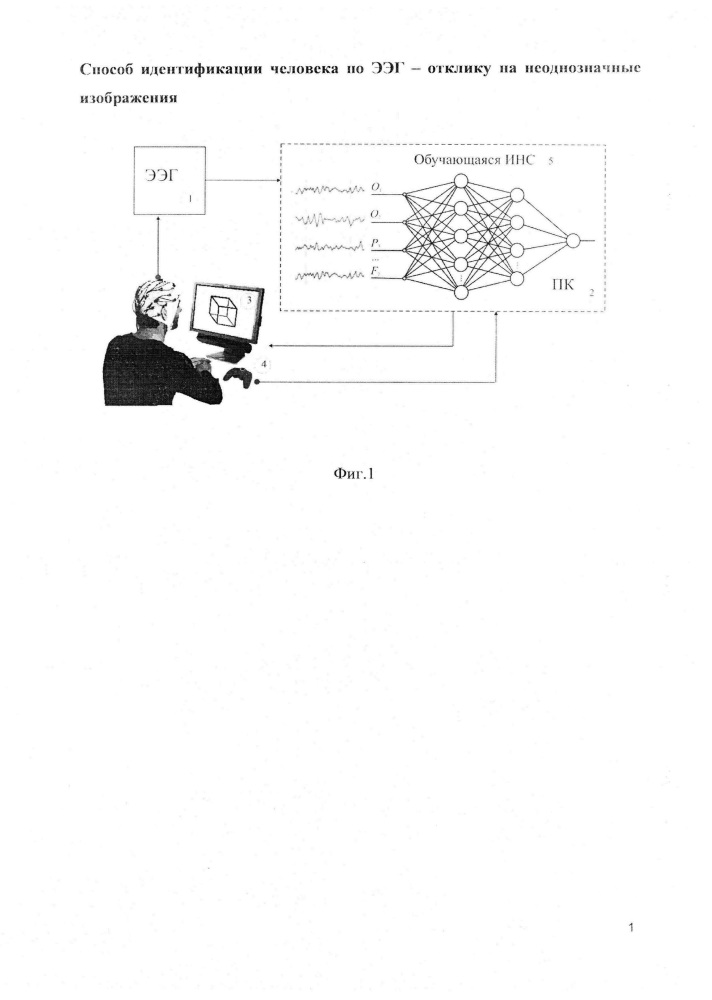 Способ идентификации человека по ээг-отклику на неоднозначные изображения (патент 2653239)