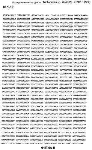 Глюкоамилаза trichoderma reesei и ее гомологи (патент 2394101)