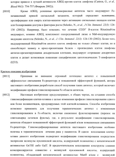 Конструкции слияния и их применение для получения антител с повышенными аффинностью связывания fc-рецептора и эффекторной функцией (патент 2407796)