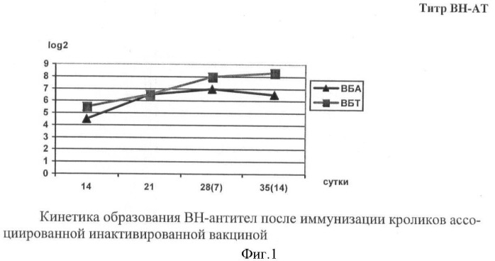 Штамм &quot;ас-21/07&quot; вируса ауески для изготовления вакцинных и диагностических препаратов (патент 2439150)