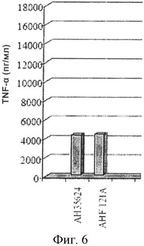 Штамм bifidobacterium longum, пригодный для применения в иммуномодуляции, индукции продукции цитокинов, лечении аутоиммунного заболевания, контроле отношения il - 10:il - 12, и его использование (патент 2557310)