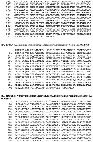 Мукозальная вакцина для иммунотерапии заболеваний, обусловленных вирусами папилломы человека, и способ лечения с ее использованием (варианты) (патент 2377305)