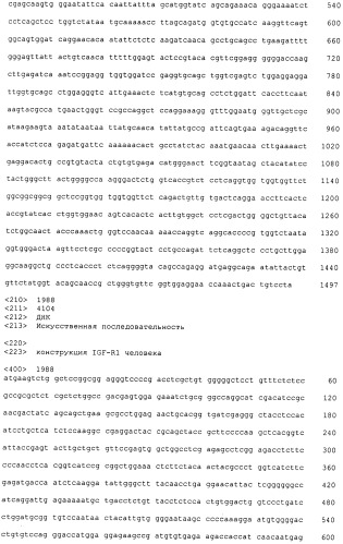 Pscaxcd3, cd19xcd3, c-metxcd3, эндосиалинxcd3, epcamxcd3, igf-1rxcd3 или fap-альфаxcd3 биспецифическое одноцепочечное антитело с межвидовой специфичностью (патент 2547600)